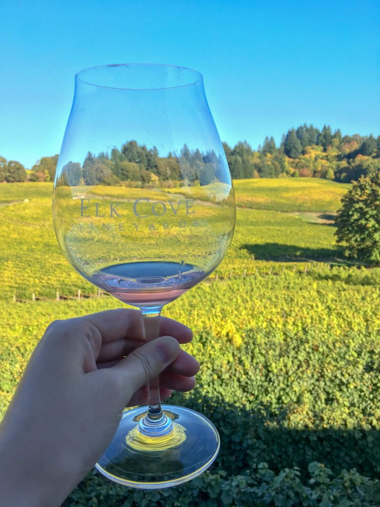 Elk Cove Vineyards